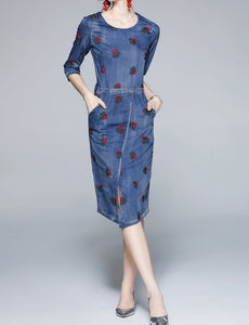 Women Embroidery Festa Runway Designer Denim Dress