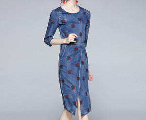 Women Embroidery Festa Runway Designer Denim Dress