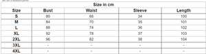 Women Embroidery Mesh Festa Vintage Dress