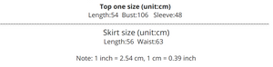 Women Tassel Sweater Pullover Knitted Skirt 2 Pieces Sets