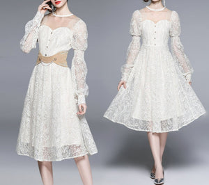 Women Lantern Sleeve Overlay Lace Embroidery Mesh Elegant Princess Dress