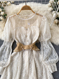 Women Lantern Sleeve Overlay Lace Embroidery Mesh Elegant Princess Dress