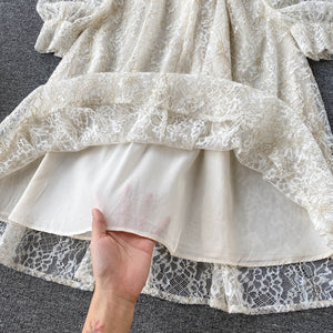 Women Lantern Sleeve Overlay Lace Embroidery Mesh Elegant Princess Dress