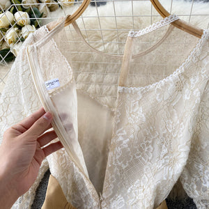 Women Lantern Sleeve Overlay Lace Embroidery Mesh Elegant Princess Dress